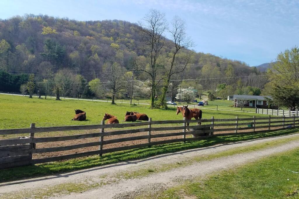 Country Mountain Escape! Villa Barnardsville Exterior photo